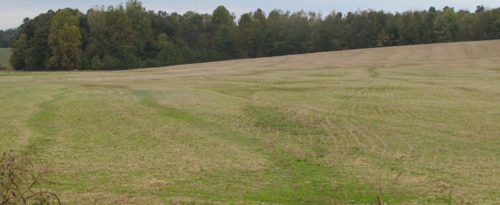 137.8 Acres in Two Tracts
