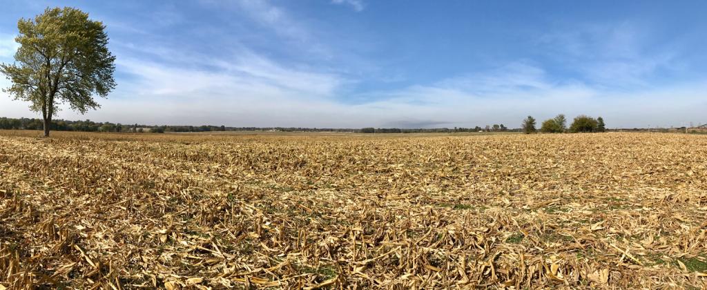 farm for sale