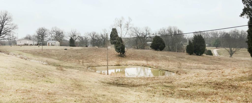 The land for sale with view of pond
