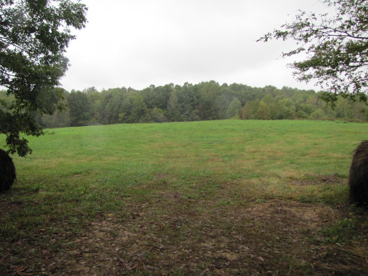 East Daviess County, KY Kurtz Auction & Realty Co.