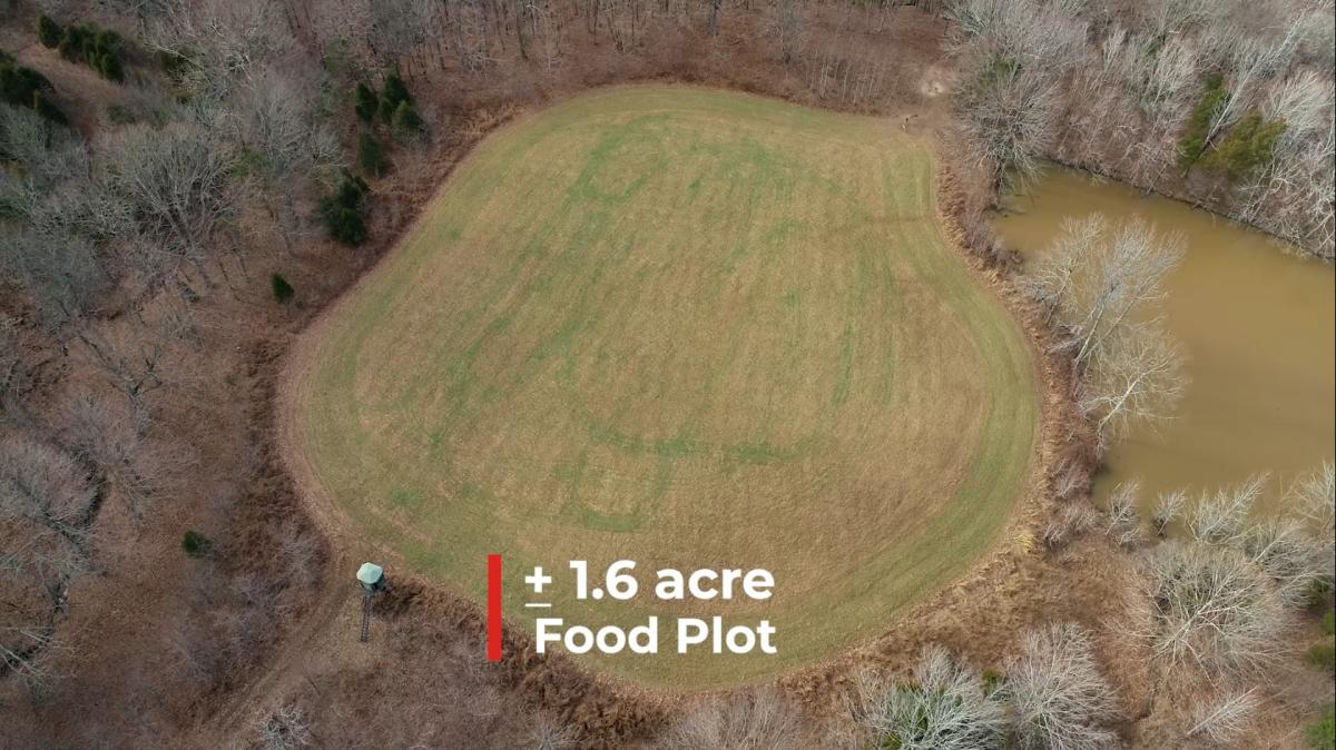 HUNTING PROPERTY, CRITTENDEN COUNTY, KY Kurtz Auction & Realty Co.