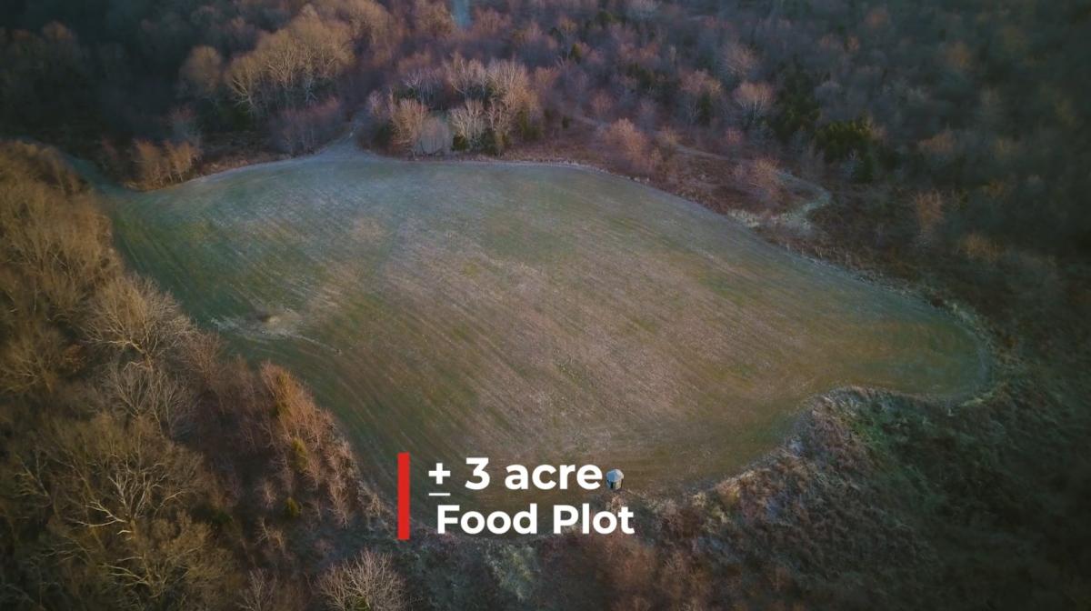 HUNTING PROPERTY, CRITTENDEN COUNTY, KY Kurtz Auction & Realty Co.