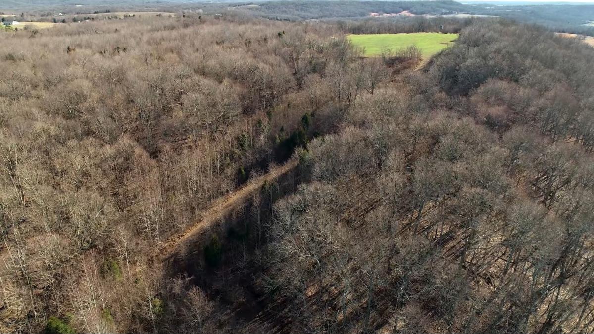 HUNTING PROPERTY, CRITTENDEN COUNTY, KY Kurtz Auction & Realty Co.